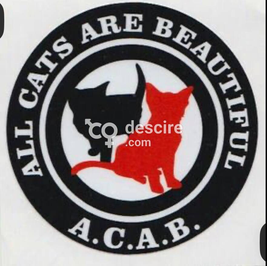 Tatoueur Marginal Mr Humpalot - Victoriaville - Canada